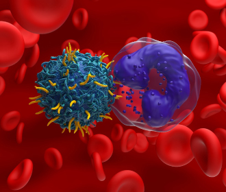 CAR T Cell Therapy